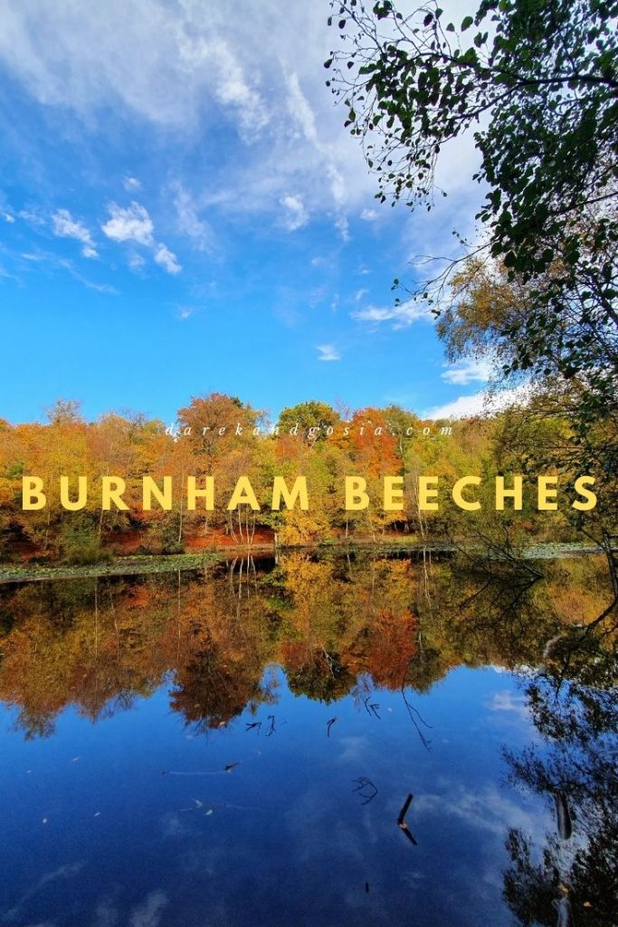 Is it worth visiting Burnham Beeches