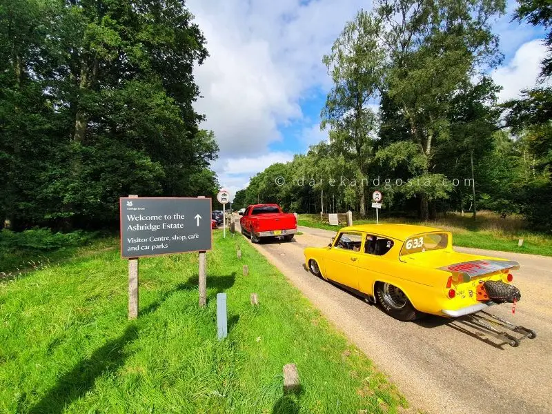 Places to visit for one day trip near me - National Trust Ashridge Estate