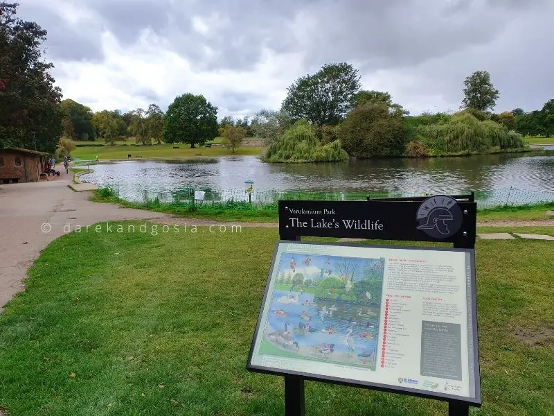 Best places to visit in Herts - Verulamium Park