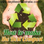 making compost for daylilies