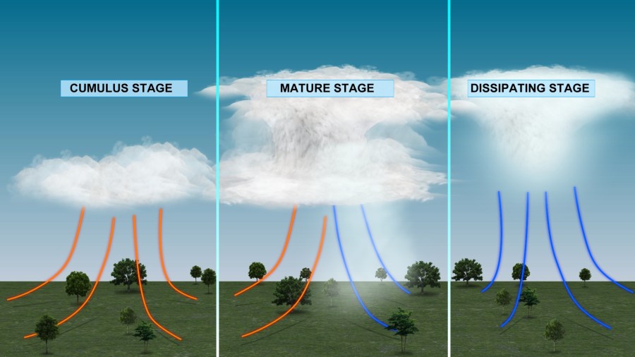 Weather Flash: How does a thunderstorm form? | DC News Now