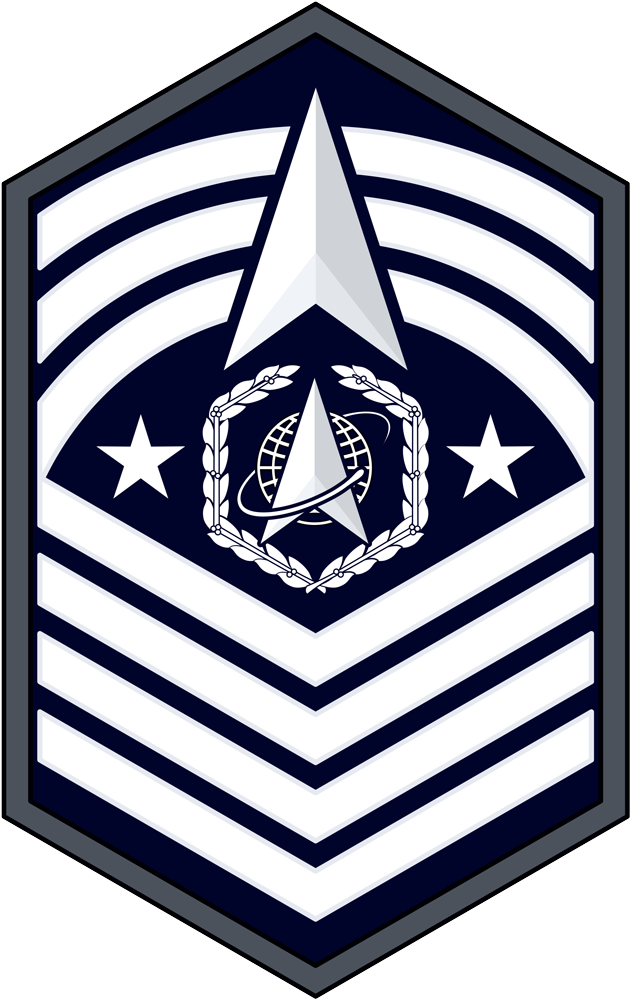 Military Rank First Sergeant Master Sergeant United States Army Png ...