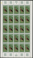 AFARS Et ISSAS COTE 1200 € POSTE AERIENNE N° 71 MNH ** FEUILLE DE 25 EX. OISEAUX BIRD FRANCOLINUS OCHROPECTUS. TB/VG - Unused Stamps