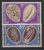 AFARS ET ISSAS - 1977 - N°YT. 443 à 444 - Coquillages - Neuf Luxe** / MNH - Unused Stamps