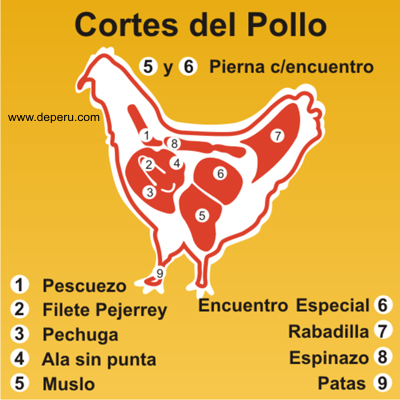 pollo