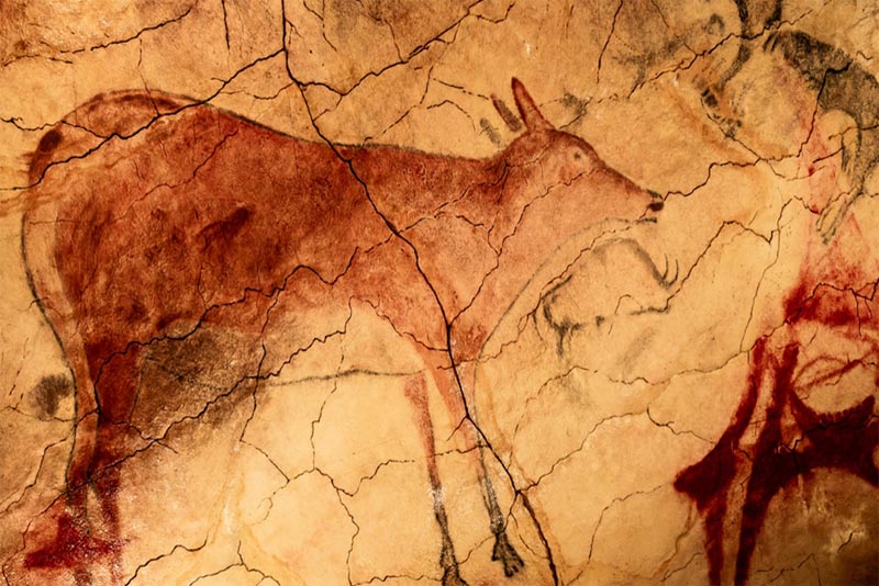 altamira-cave-oldest-cave-paintings