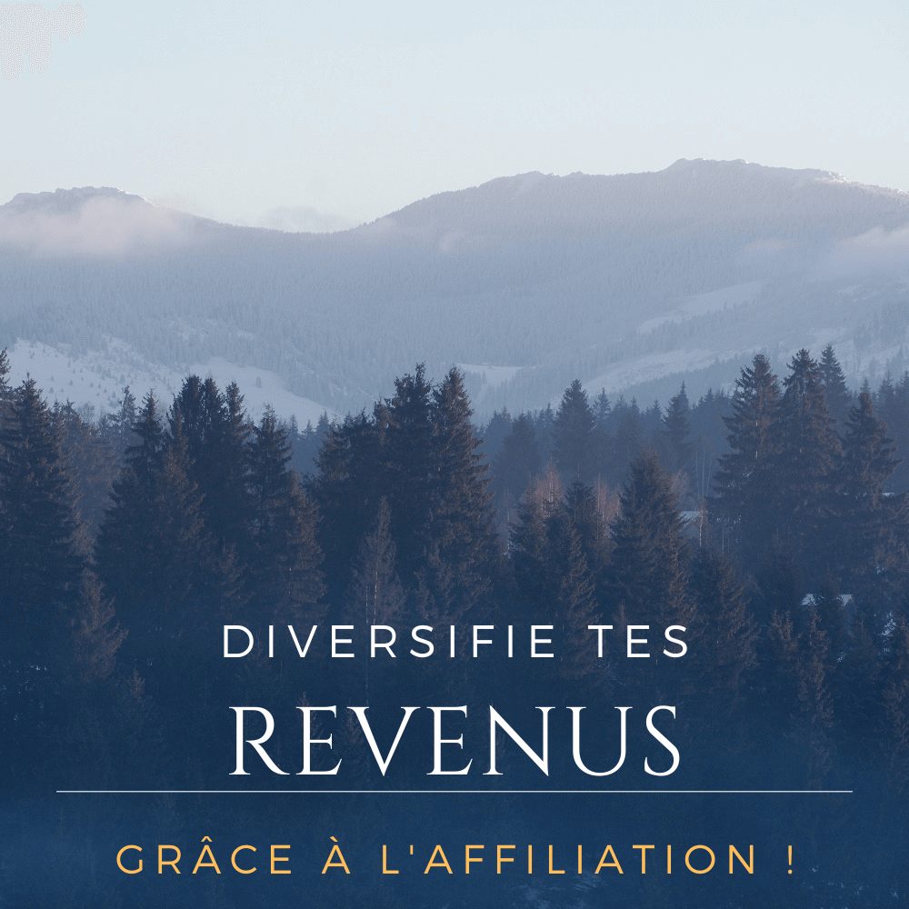 Comment fonctionne l'affiliation - Diversifie tes revenus grâce à l'affiliation