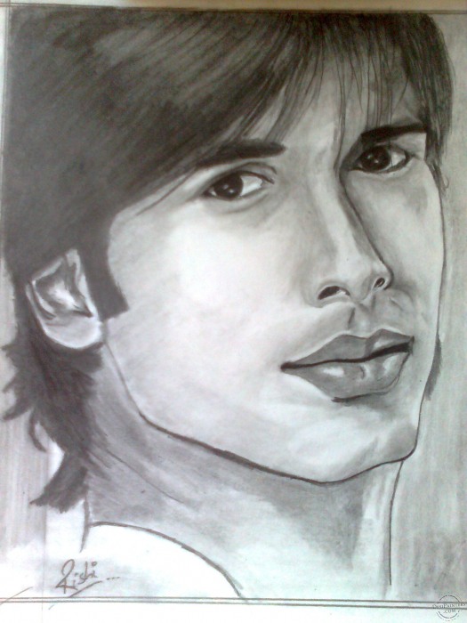 Pencil Sketch of Shahid Kapoor by Rishi - DesiPainters.com