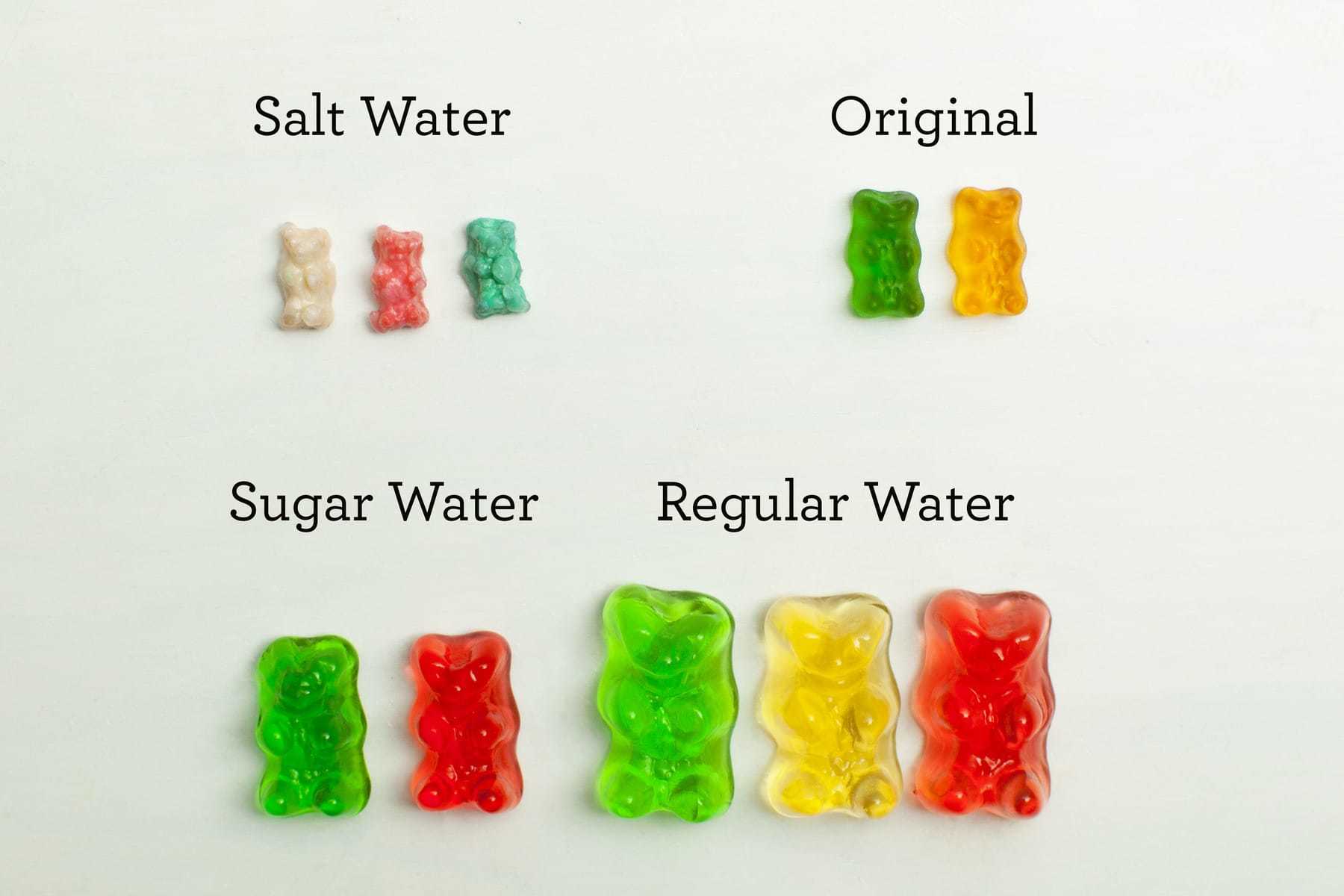 What Does gummy bear Mean? | Pop Culture by Dictionary.com