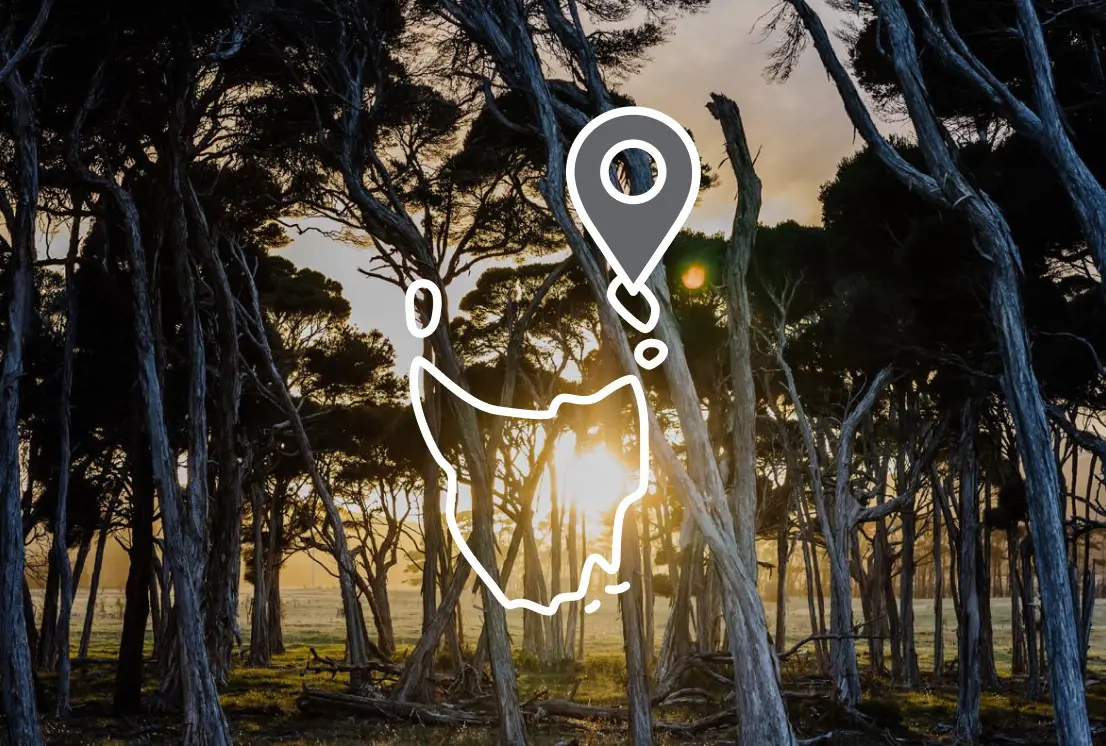 The sun setting through a grove of trees. Overlaid is an icon of the outline of Tasmania with a map pin.