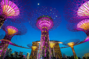 gardens-by-the-bay-singapore