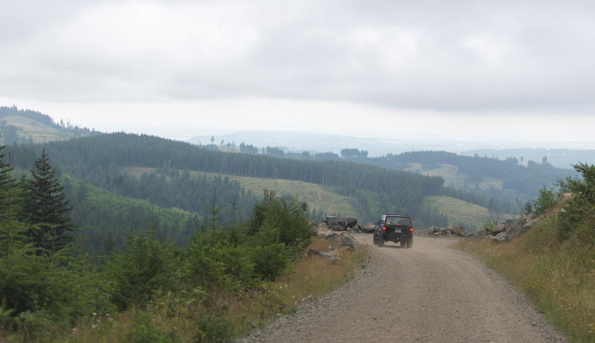 A four-by-four vehicle driving down L-1500 towards the Jones Creek ORV Trailhead in Yacolt Burn State Forest. Photo by Mitchell Emerson.