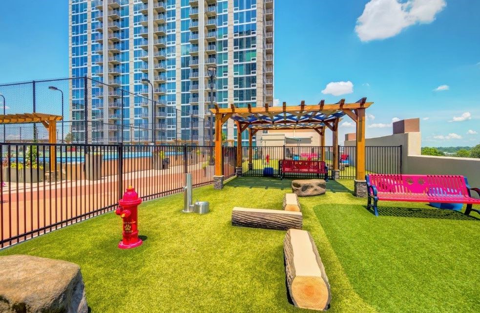 beautiful rooftop dog park in an urban environment built by Dog-ON-It-Parks