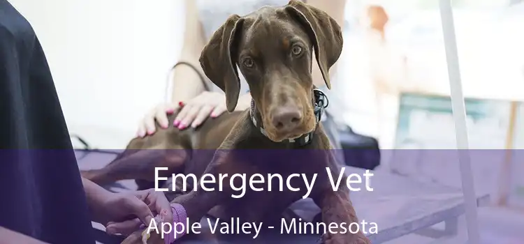 Emergency Vet Apple Valley - Minnesota