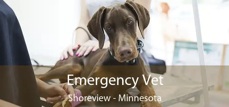 Emergency Vet Shoreview - Minnesota