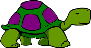 Green Sea Turtle PNG images