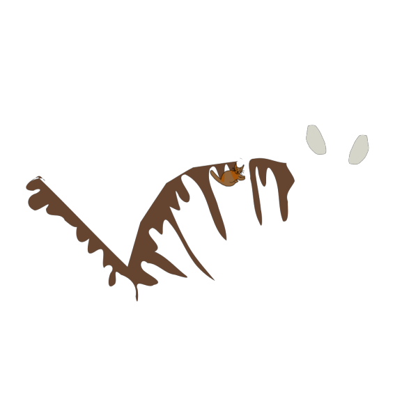 Brown Cat PNG images