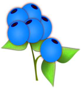 Blueberries PNG Clip art