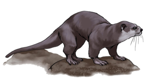 Otter PNG Free Download PNG Clip art