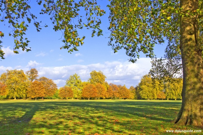 สวน HYDE PARK ที่อังกฤษ อยู่ติดกับสวน Kensington Garden