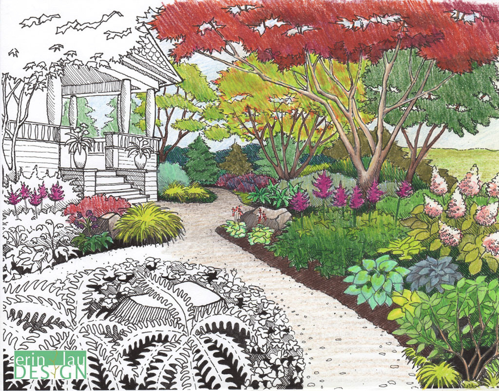 Garden Drawing Best