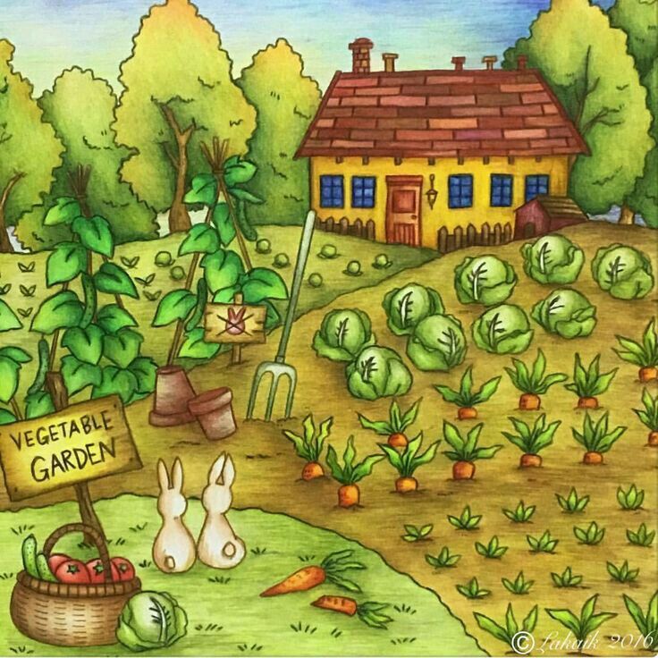 Garden Drawing Creative Art