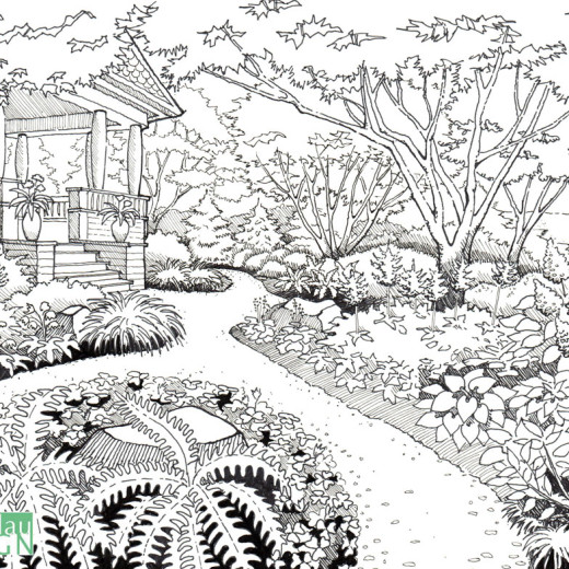 Garden Drawing