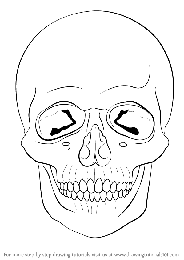 Easy Drawings Of Skulls Step By Step