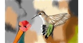 Drawing of Hummingbird by Tim