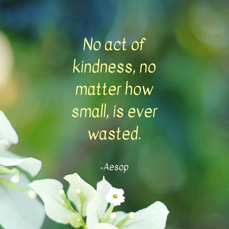 Aesop Quote