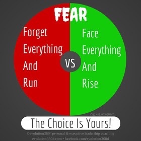 Fear Diagram