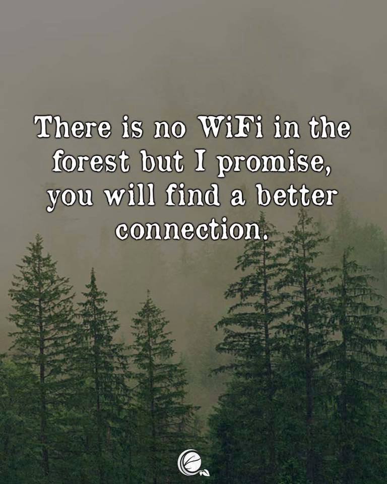 Forrest WiFi