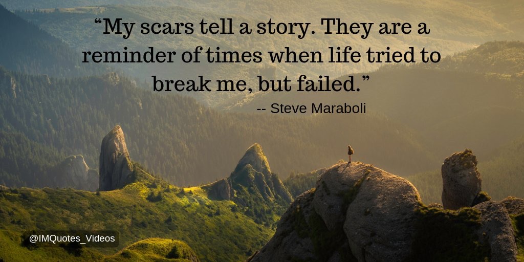 My scars quote