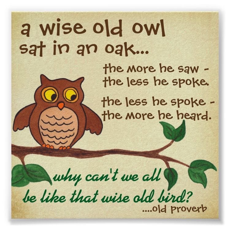 Old Owl