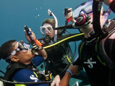 Dive Instructor Jobs (4)