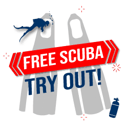 Free Scuba Try Out