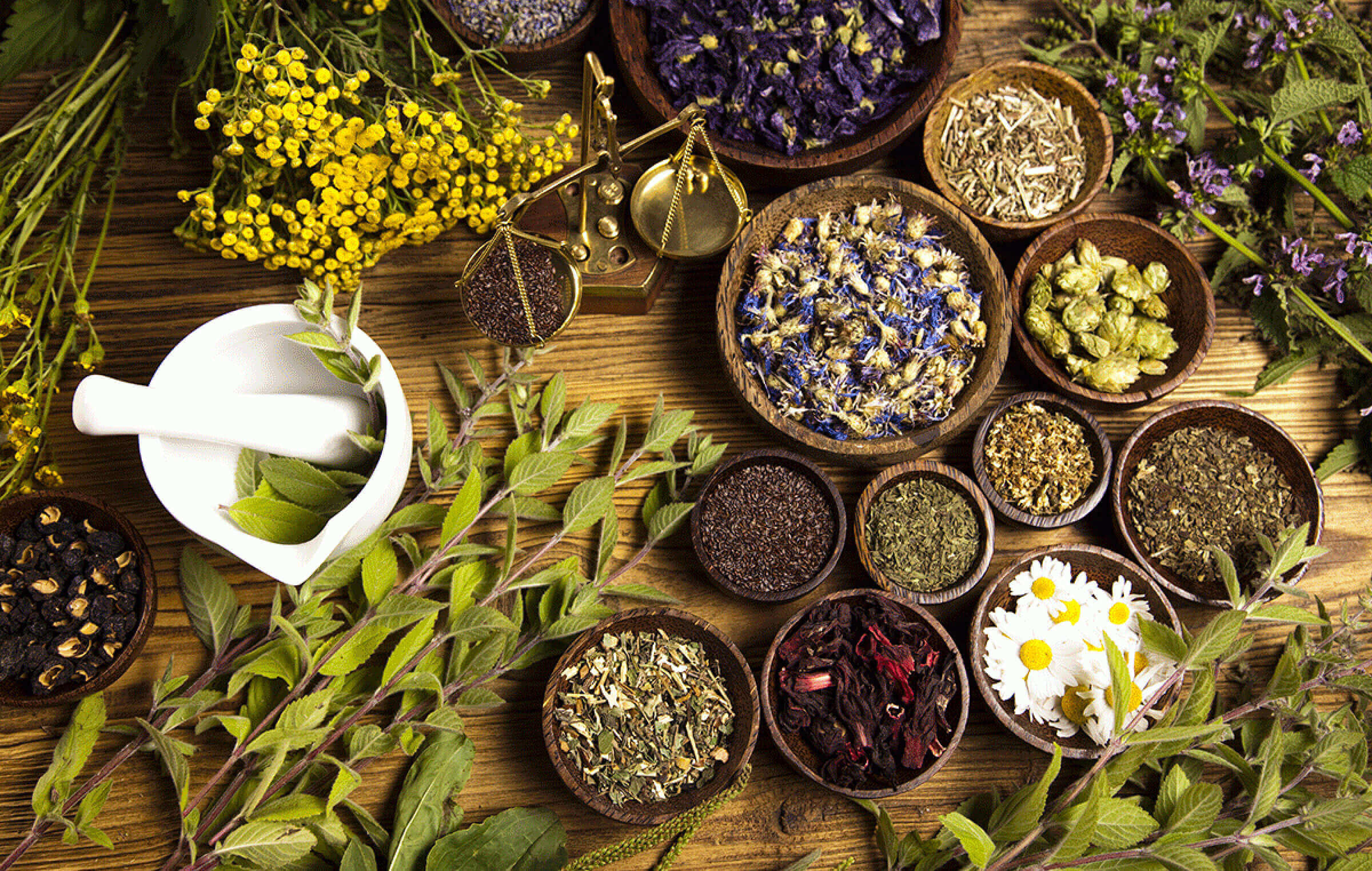 DR. JASNA'S AYURVEDA CLINIC