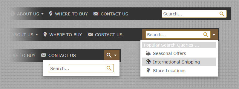 How To Add Search Bar To Navigation Menu