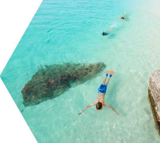 Image of people snorkeling at the Dry Tortugas