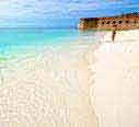 photo of dry tortugas beach