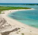 the history of the dry tortugas