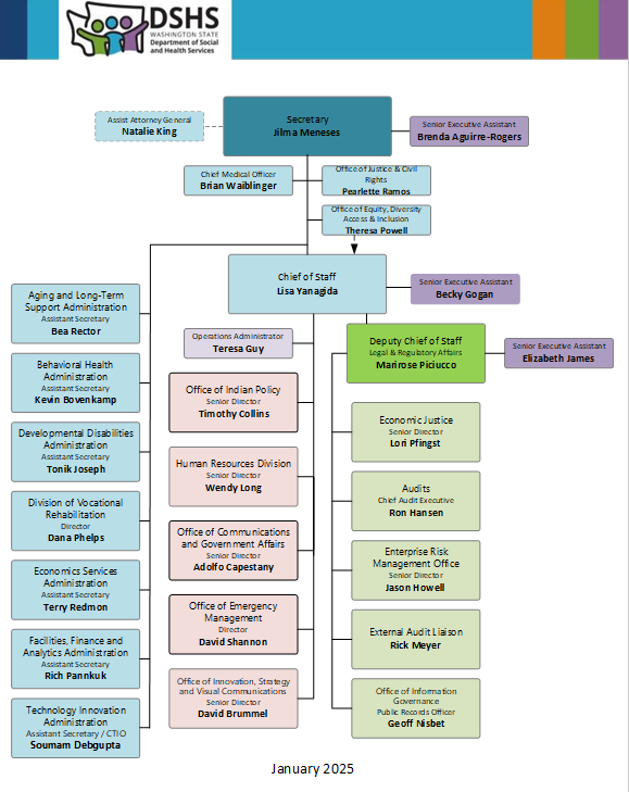 Texas DSHS Organizational Chart