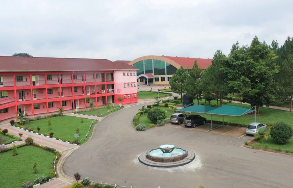 Professional Sound System for Vision for Africa High School, Uganda