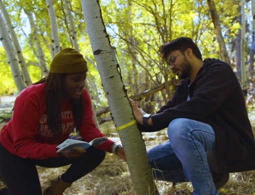 DU students doing research in forest