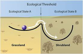 A ball rests within one trough (grassland), separated from a steeper trough (scrubland) by a small peak representing an ecological threshold