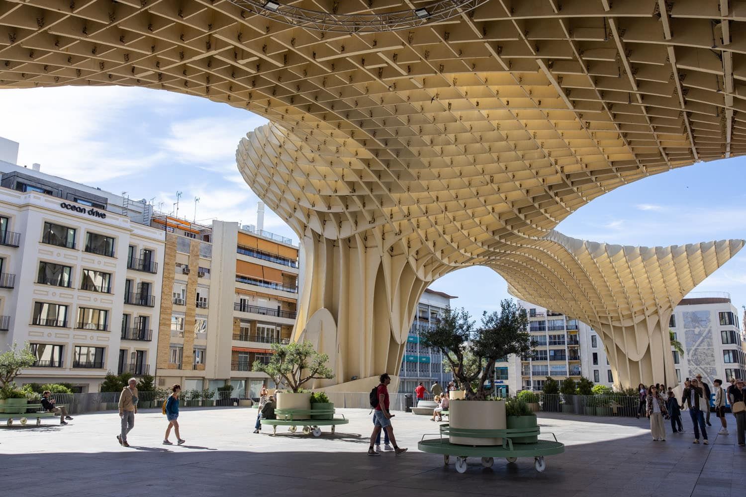 Setas de Sevilla | Best Things to Do in Seville