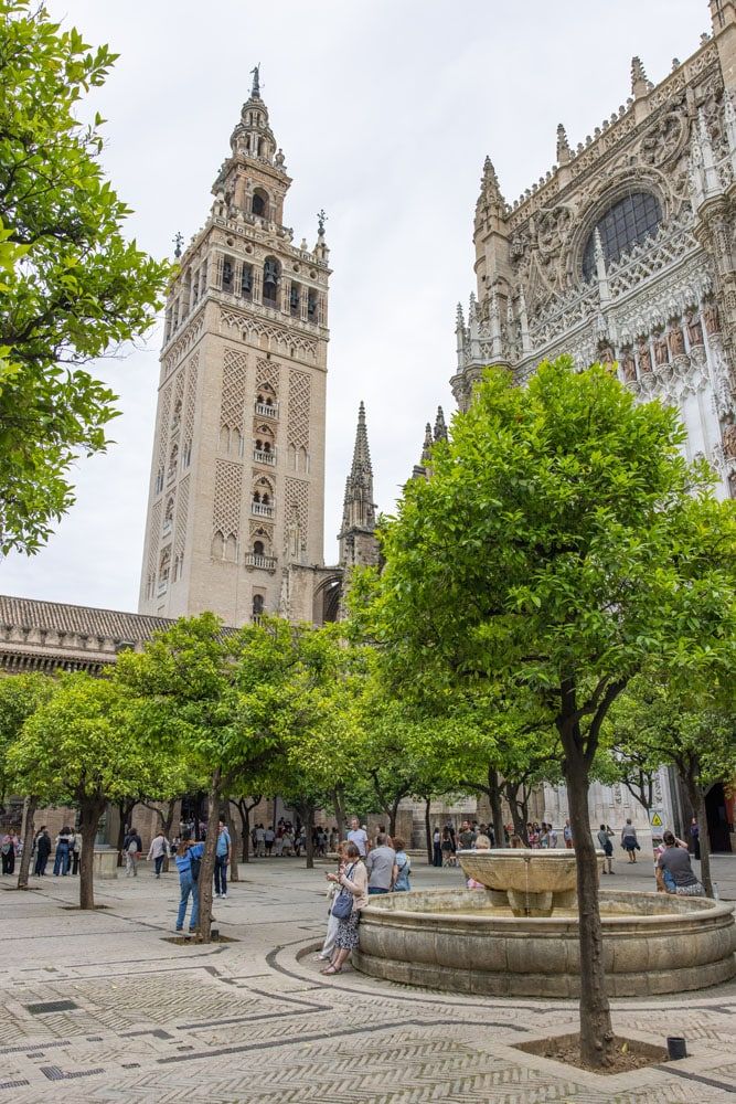 Seville Cathedral Courtyard