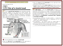 Lewis Lead from Dr Grauer