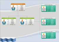 Sales Organizational Chart