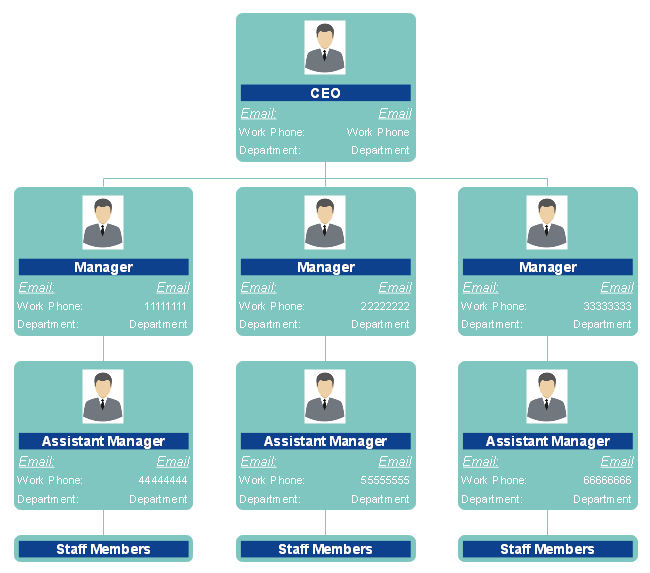 Functional Organizational Chart Template | Master Template